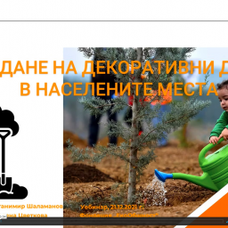 tree planting webinar bulgaria